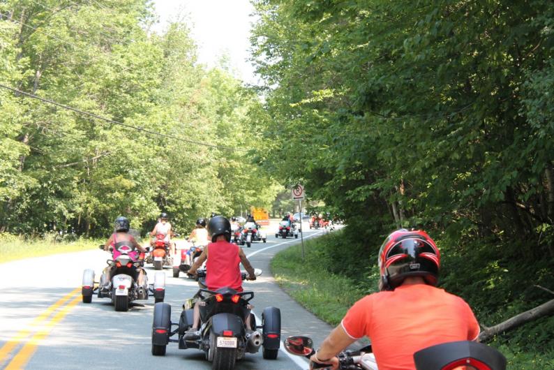 Parade: More trees than buildings!