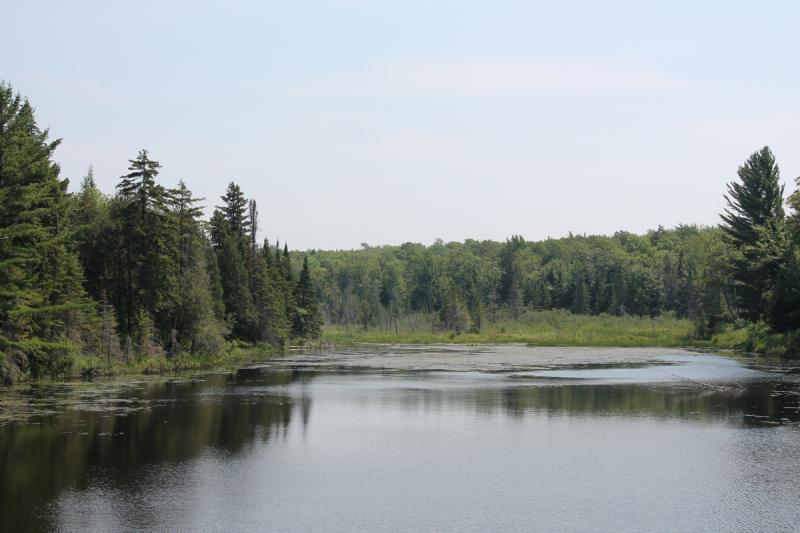 Parade: plenty of nature to look at