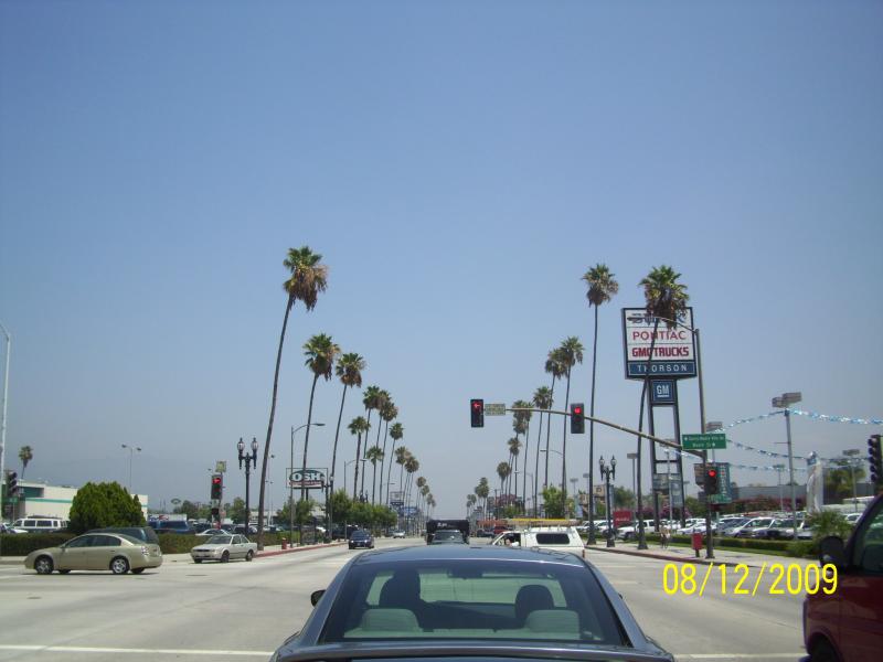 Pasedena, CA palms. Nasty and smoggy place; the whole area until past Escondido, CA. Sorry not meaning to step on toes.