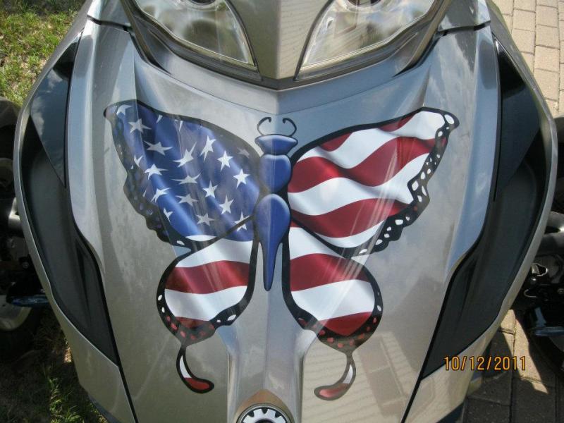 Patriotic butterfly
