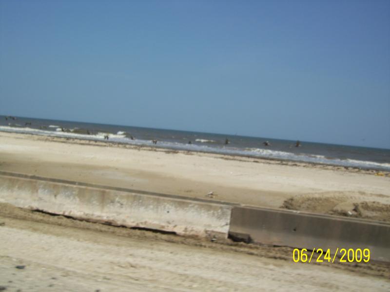 Pelicans flying, Bolivar Peninsula, TX
