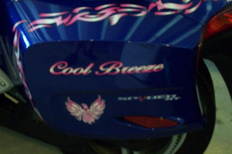 Phoenix Tribal Pink fade- saddlebag design.