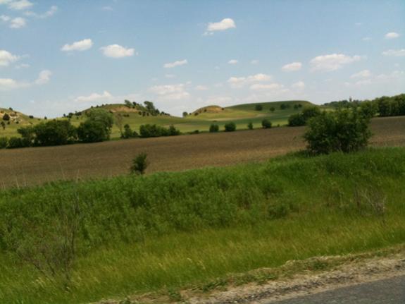 Pictures 12 13 09 008