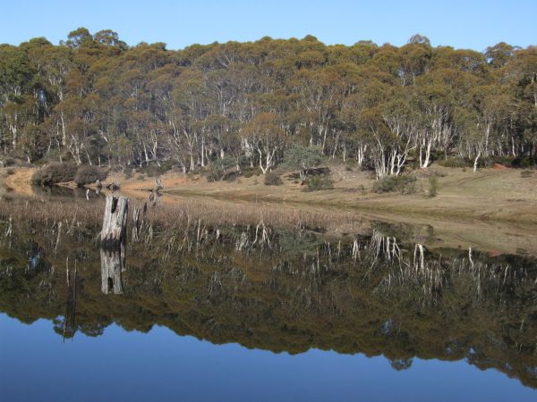 Pine Tier Lagoon reflections, Cental Highlands, Tasmania