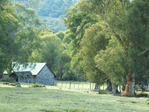 Pine Tier Lagoon shack, Central Highlands, Tasmania