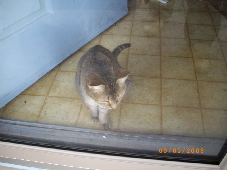 Pixel sees a Spyder.