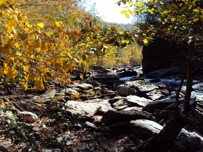 Rapids along Tellico River on Cherohala Skyway in TN