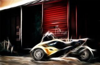 Recently added pic by Frank Leal. very nice addition to my spyder photo library