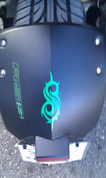 Representing Maggots