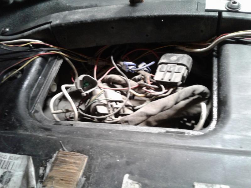 Resized 20180403 134850 6207     #4