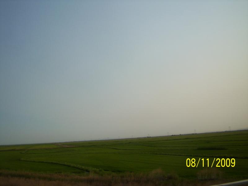 Rice fields approaching Sacramento, CA