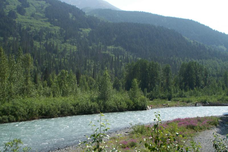 Road to Hatcher Pass, Ak