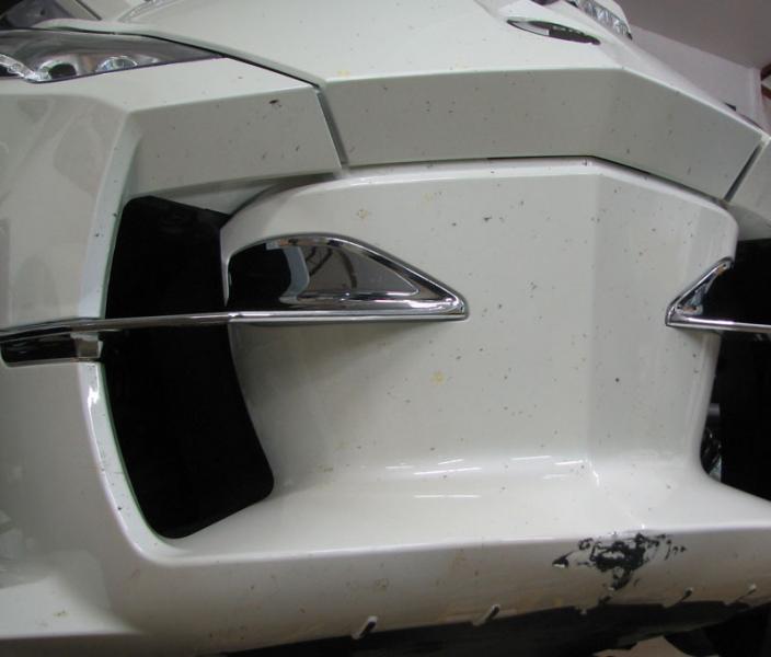 RT NOSE DAMAGE web
