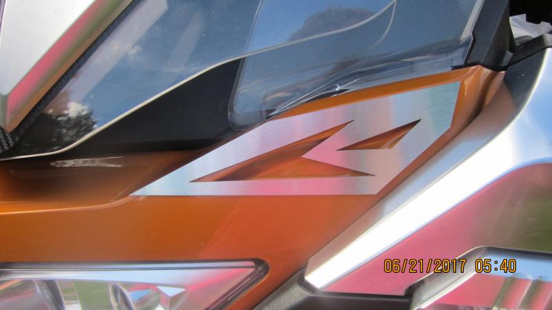 RT Windshield Grills 001