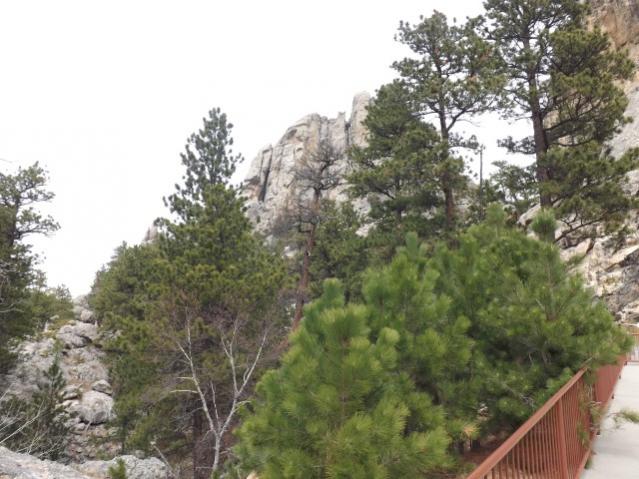 Rushmore area 5/2014