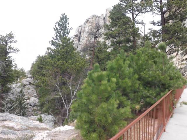 Rushmore area 5/2014