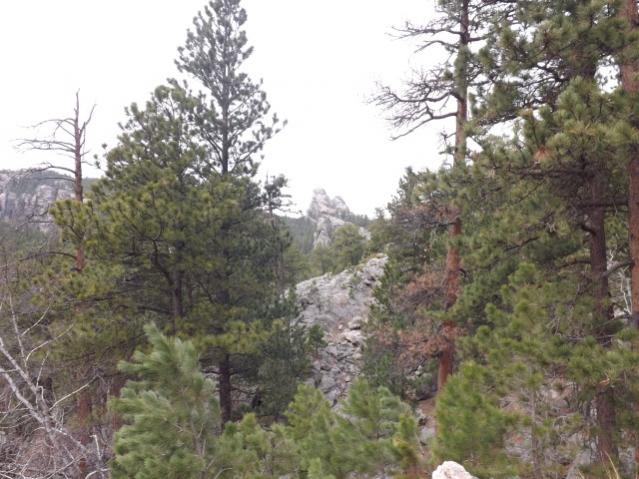 Rushmore area 5/2014