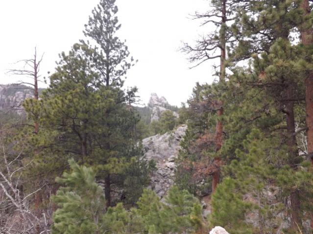 Rushmore area 5/2014