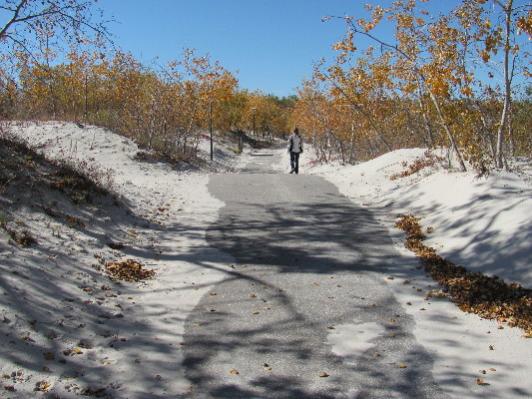 Sand Dunes in the Fall