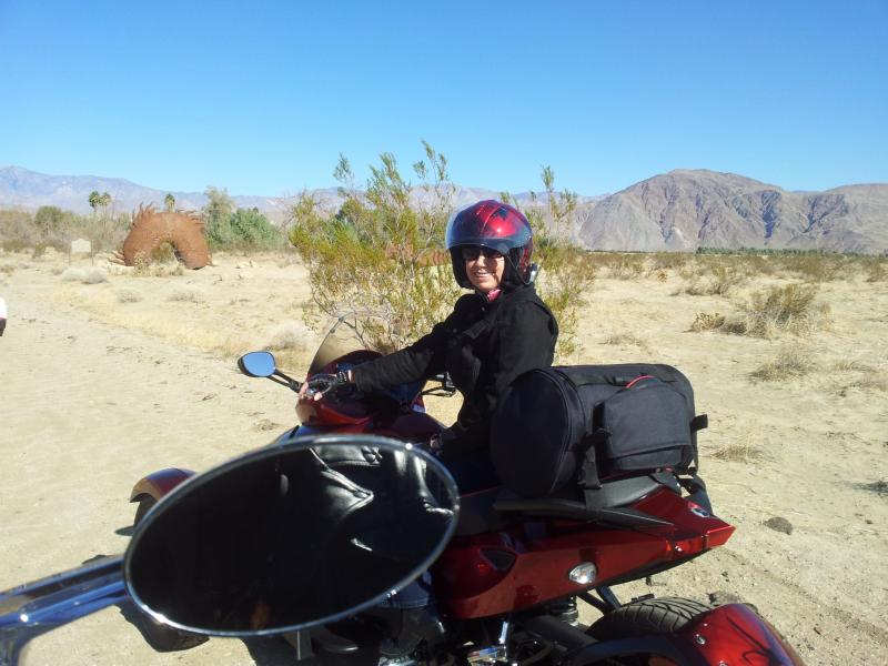 Sassy doesn't do dirt