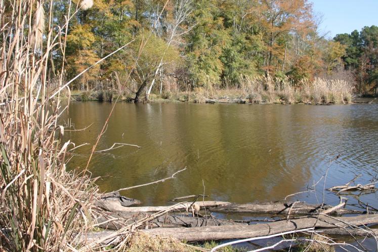 Savannah River inlet