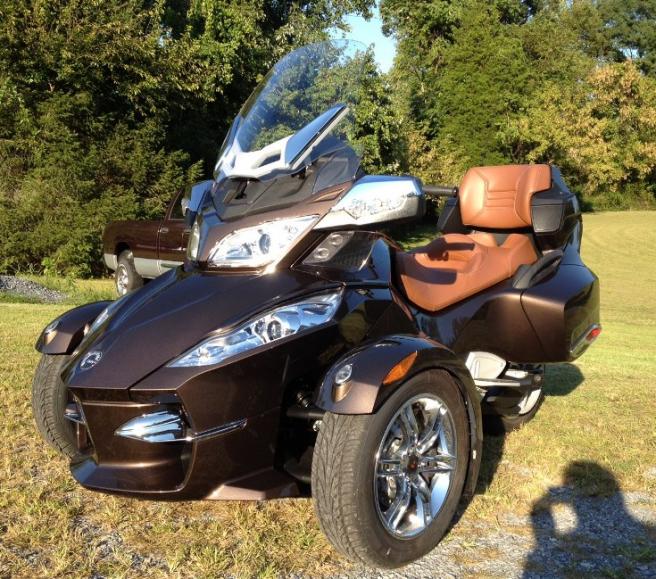 Scootie, the day she came home September 2012.