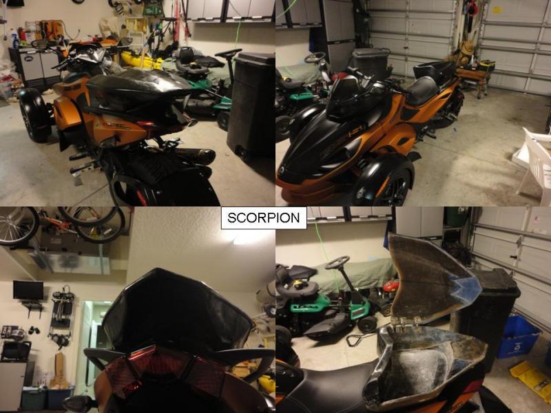 Scorpion Design Presentation Image