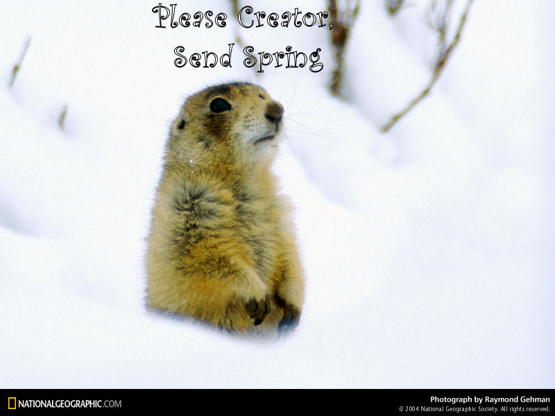 Send Spring Anotated