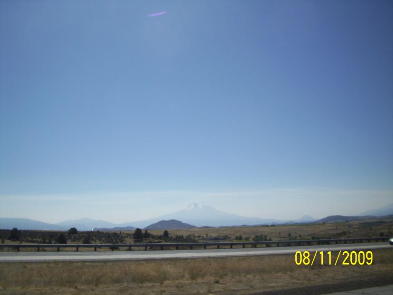 Shasta.