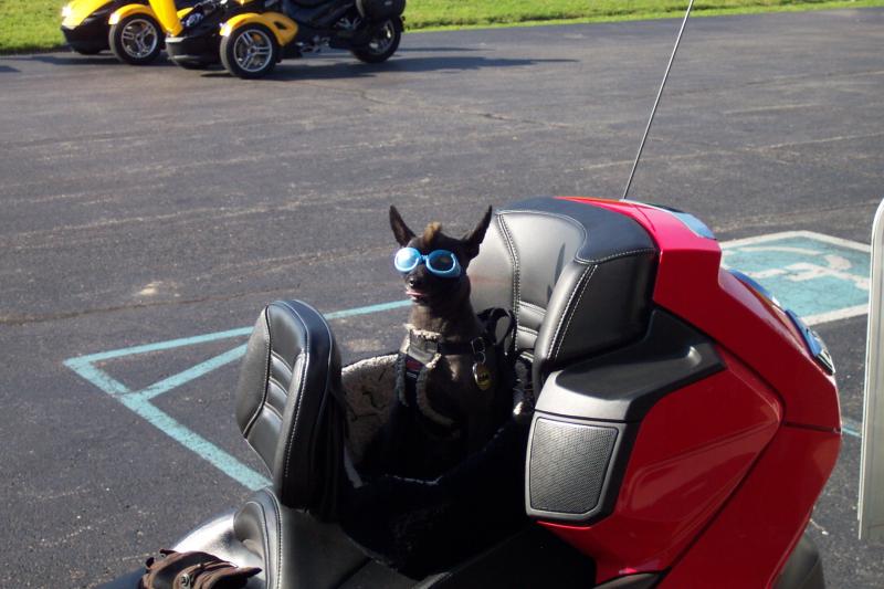 Shoals ride 2011 004