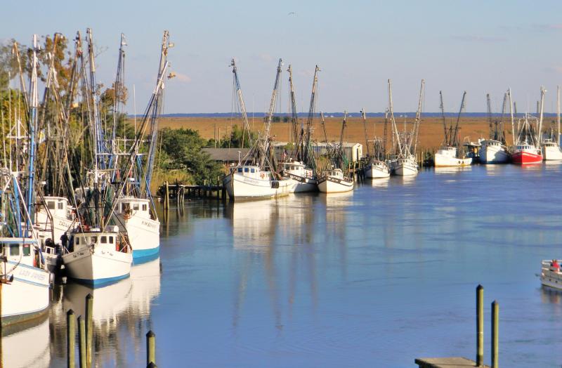 Shrimp boats in dock