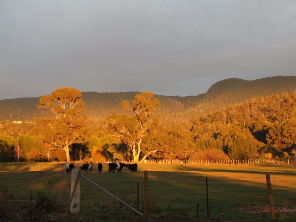 Snug Tiers from my backyard in Margate, Tasmania.