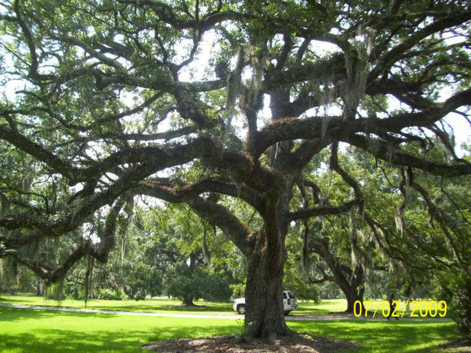 So many to chose from.