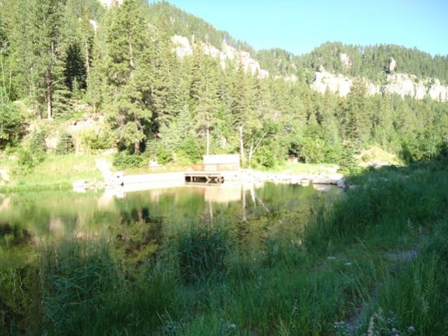 Spearfish Canyon in SD 1