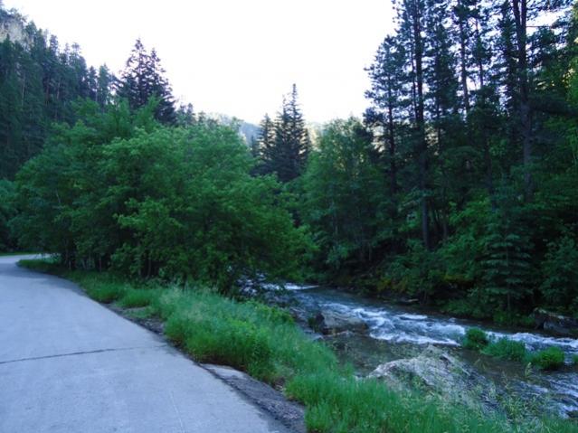 Spearfish Canyon in SD 6