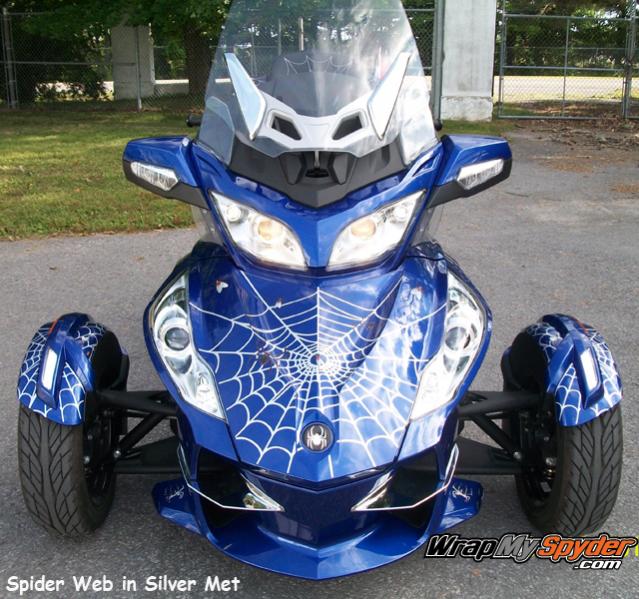 Spider, Web, Fly front web