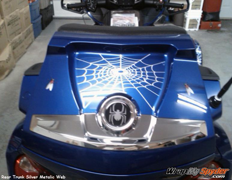 Spider web fly rear trunk