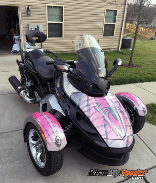 Spidy on web Pink on RS model