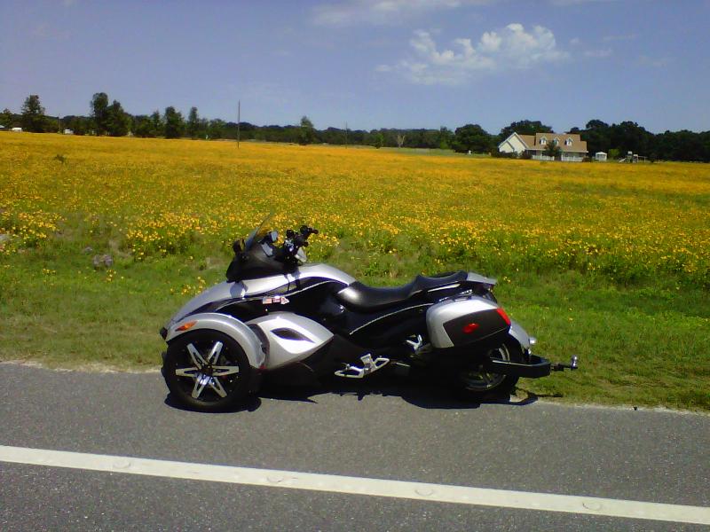 Spring North Florida