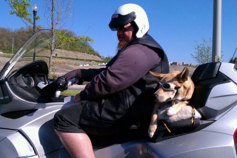 Spyder Dog ready to go