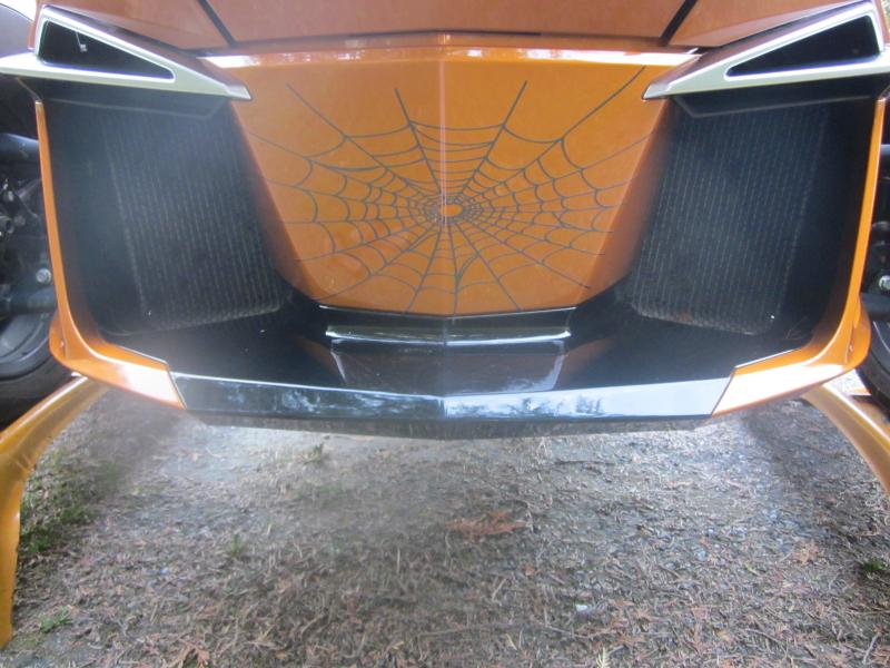 Spyder Farkles update 023