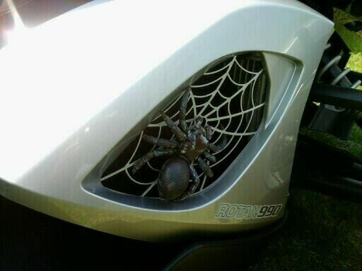 Spyder in the airhole