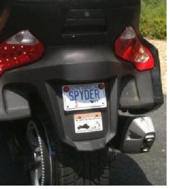 Spyder licence