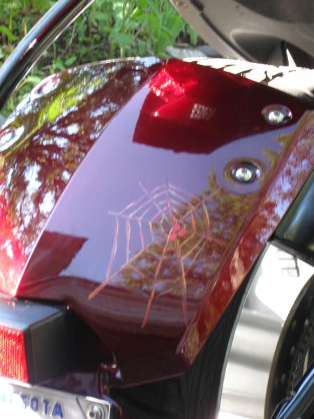 "Spyder" on a web, painted by my wife, Paula.