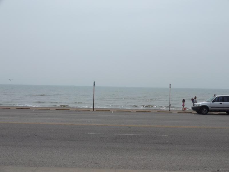 Spyder on the Bayou Cajun Conntry 071