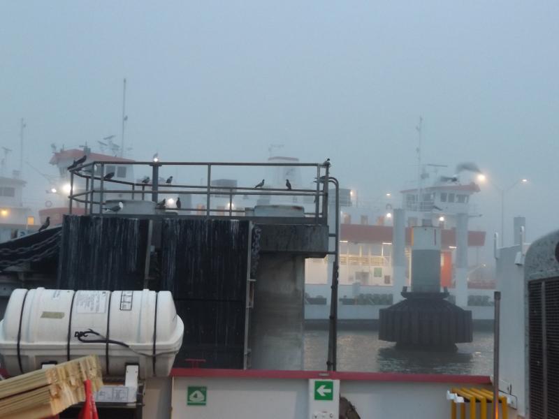 Spyder on the Bayou Cajun Conntry 074