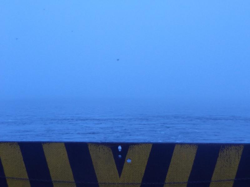 Spyder on the Bayou Cajun Conntry 077