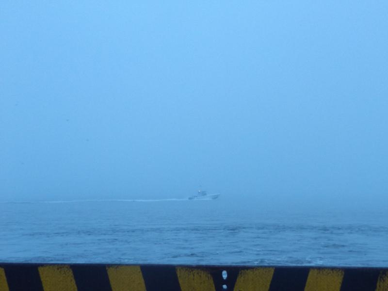 Spyder on the Bayou Cajun Conntry 078