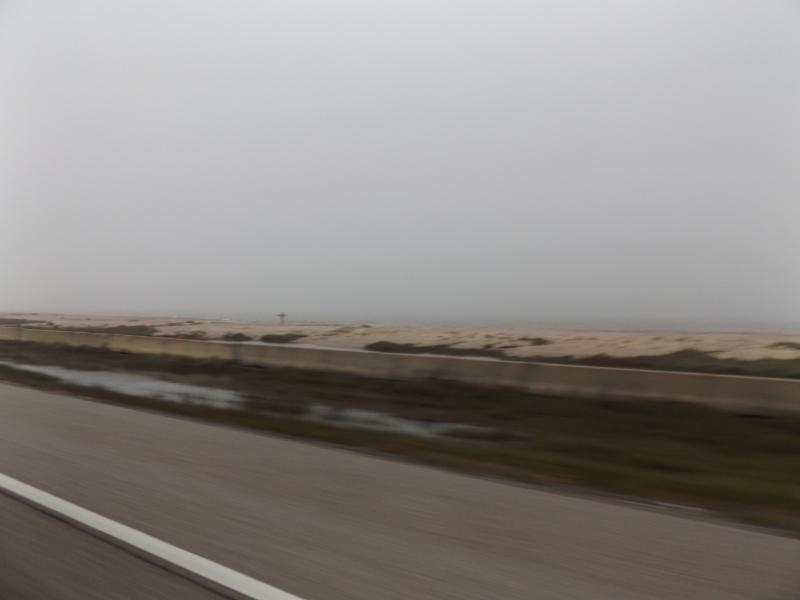 Spyder on the Bayou Cajun Conntry 088