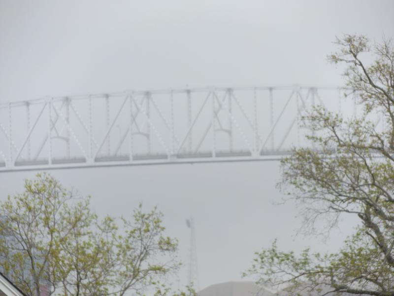 Spyder on the Bayou Cajun Conntry 093